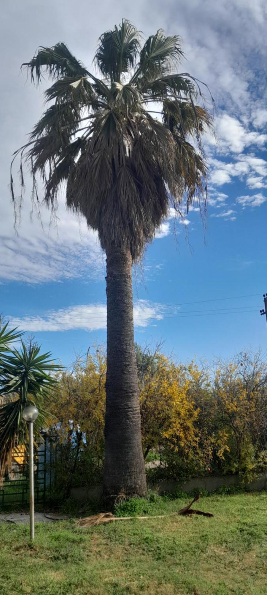 Le Calle Iglesias Dış mekan fotoğraf